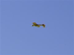 PICT2056.JPG